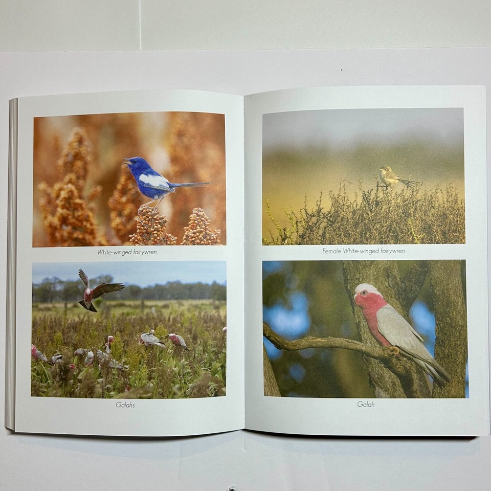 Australian Native Bird photo Notebook A5- 68 Writing, 18 sketch pages ...