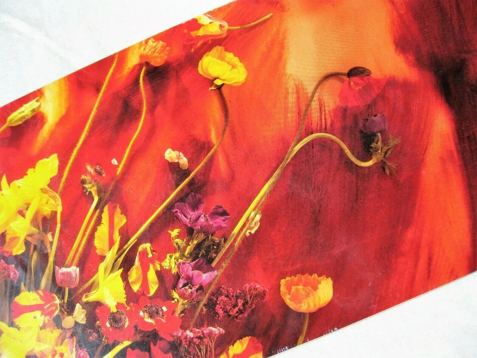 PAUL McCARTNEY FLOWERS IN THE DIRT LONGBOX CD SEALED PROMO BOX SET BEATLES LOT - Image 2 of 4