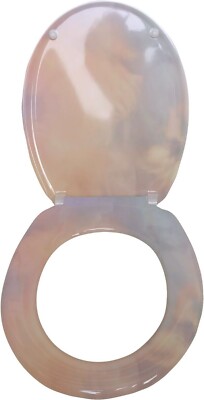 Duroplast Klodeckel CLOUDY mit Absenkautomatik WC-Brille Bad Toilettensitz