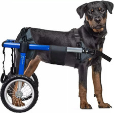 Used Large Dog Wheelchair For Back Legs for 88.1-132.2 lbs