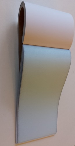 10 DL PADS Duplicate NCR CARBONLESS paper Takeaway Restaurant Bar Order pad - Picture 2 of 4