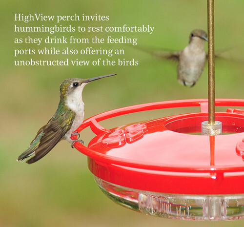 Aspects 433 HummBlossom 4 oz Hanging Rose Hummingbird Feeder - Picture 2 of 3