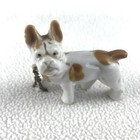 Bild 5 von 5