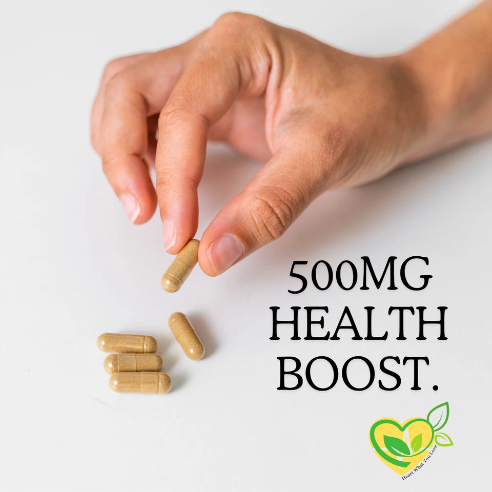 Cápsulas de equinácea 500mg | 60 CT | Suplemento herbal vegano orgânico | Ajuda imunológica - Imagem 2 de 4