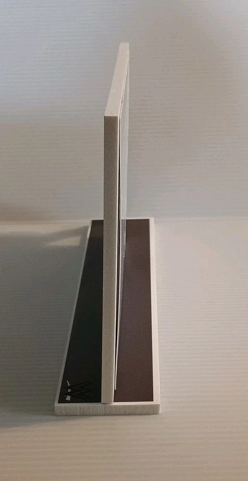 佩姬 WWE 正品 2015 复合相框 6 英寸 x 10 英寸带 Fascimile 亲笔签名 — 第 3/4 张图片