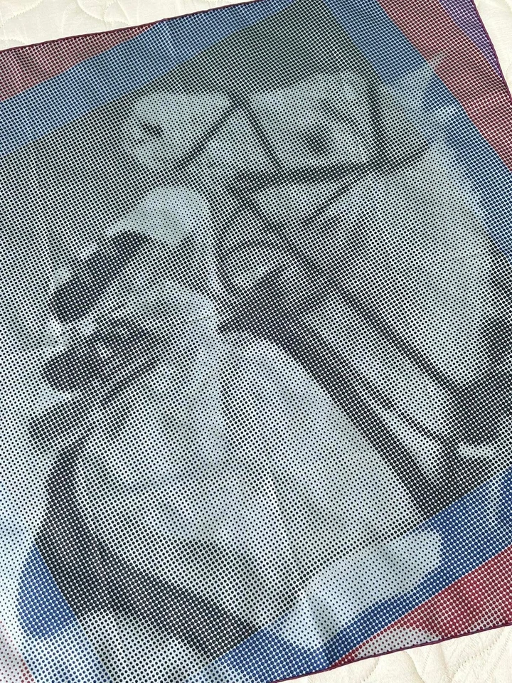 S2# Bufanda de seda Hermès LE SAUTH 35 pulgadas Foto 4 de 4