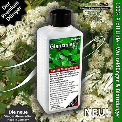 kentia palme für katzen giftig Howea Forsteriana ⭥130cm – Kentia Palme
