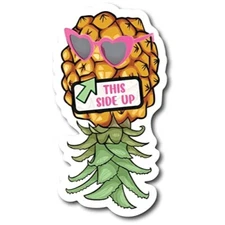This Side Up Upside Down Pineapple with Sunglasses Magnet Decal, 4x8 Inch