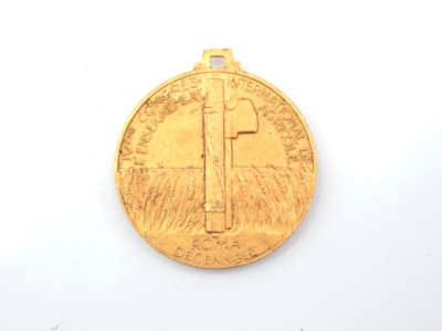 Original Italian Fascist International Agricultural Training Conference Medal