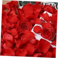 Dried Real Rose Petals, Natural Preserved Dry Flower Petals for Wedding Red