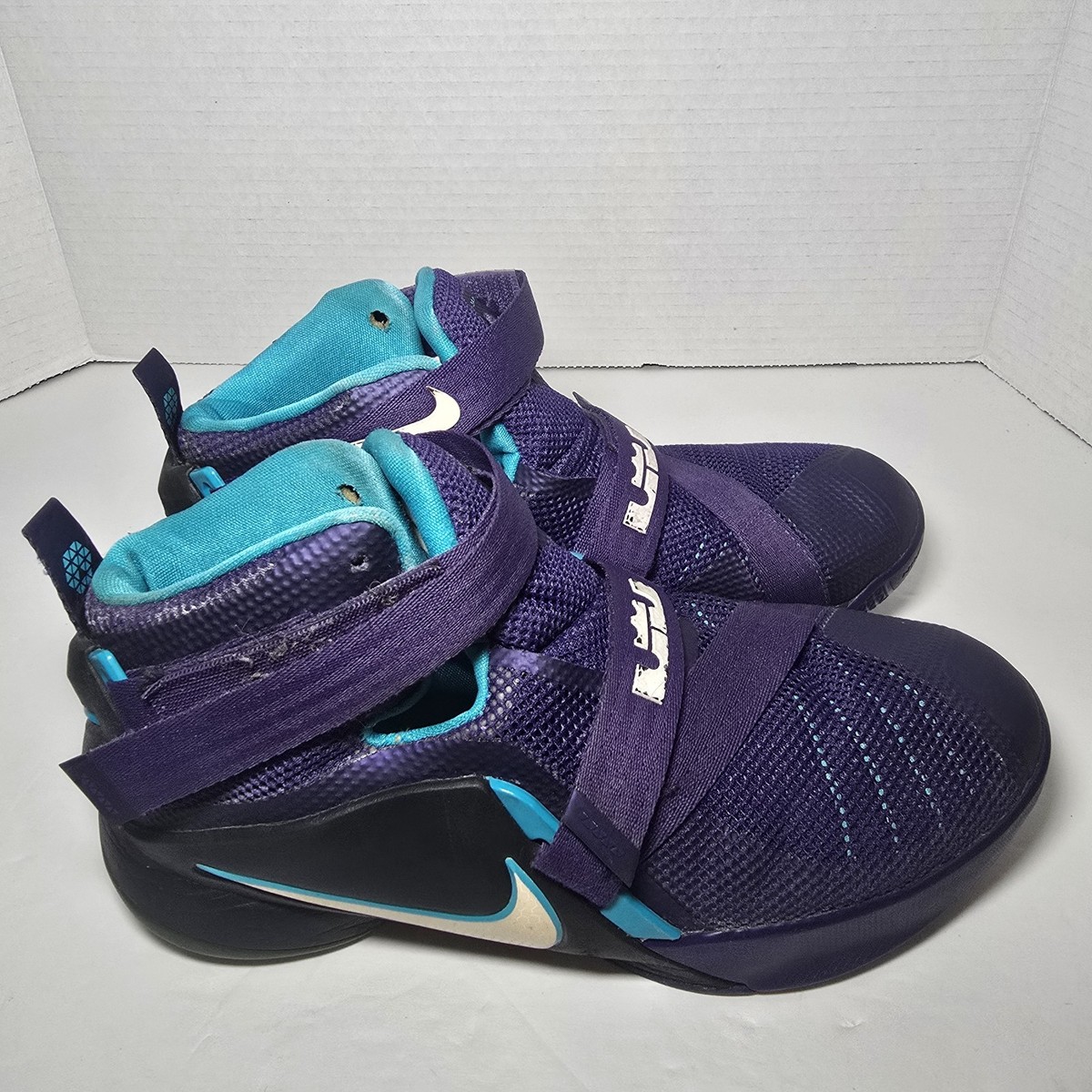 lebron james charlotte hornets