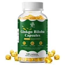 Ginkgo Biloba 500mg 120 Capsules | Brain Focus & Memory Support Circulation
