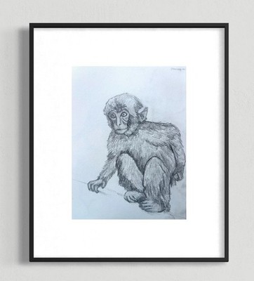 ORIGINAL ANIMAL DRAWING, MONKEY, HAND DRAWN PENCIL on Paper 12X9 ART