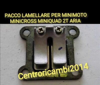 Pacco Lamellare Per Minimoto/minicross/miniquad 49cc 2 Tempi – Acciaio Inox, Compatibile Con Motori Cinesi Ad Aria