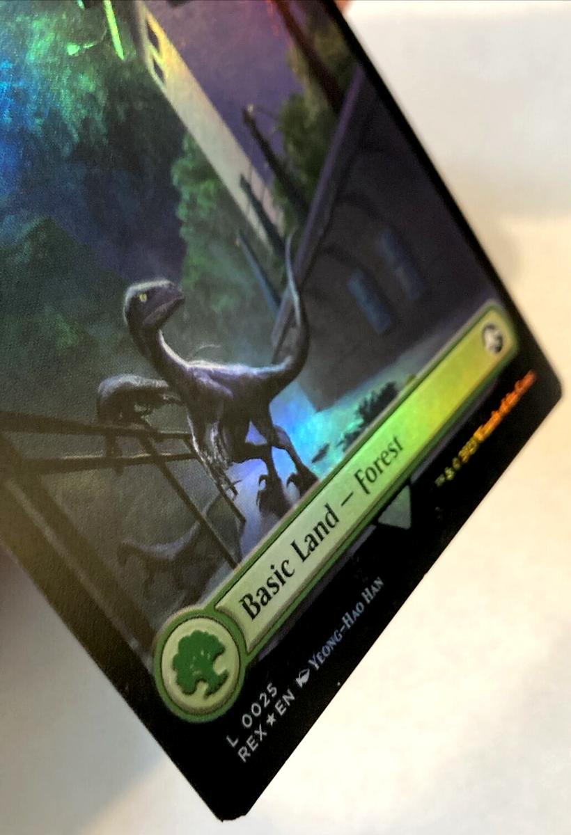 MTG Forest FOIL Universes Beyond Jurassic World 0025 NM | eBay