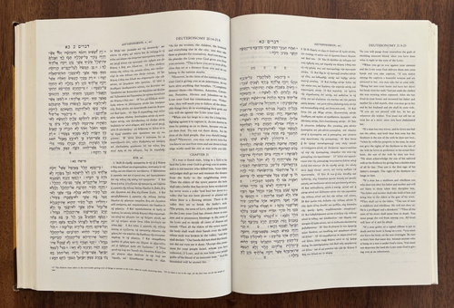 The NIV Triglot Old Testament by John R. Kohlenberger, Greek, Hebrew Bible 1981 - Picture 16 of 23