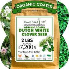 Flawn Seed White Dutch Clover Seeds, 2 Lbs, Organic 2 lbs,