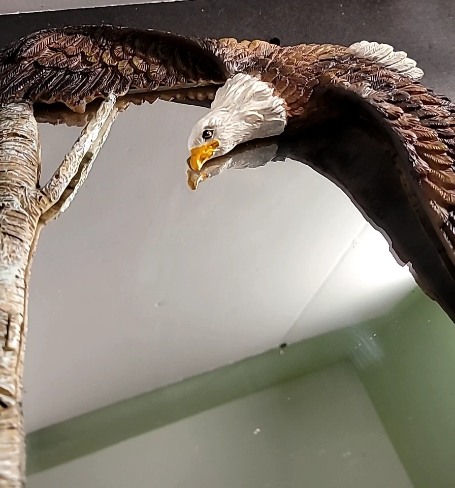 Espejo American Eagle elevado para colgar en la pared decoración del hogar Foto 4 de 4