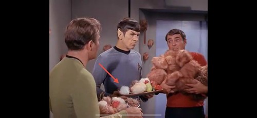 Star Trek 1967 TROUBLE WITH TRIBBLE Baby WHITE Tribble Screen Prop Sold As EA*R - Bild 2 von 14