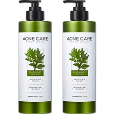 Shower Mate Acne Care Mugwort Body Wash 500g x 2ea Gentle Body Care for Clear