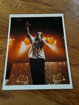 POST MALONE LIVE! Art Print Photo 11 x 14''  Poster Tattoos Rap Singer Songwriter