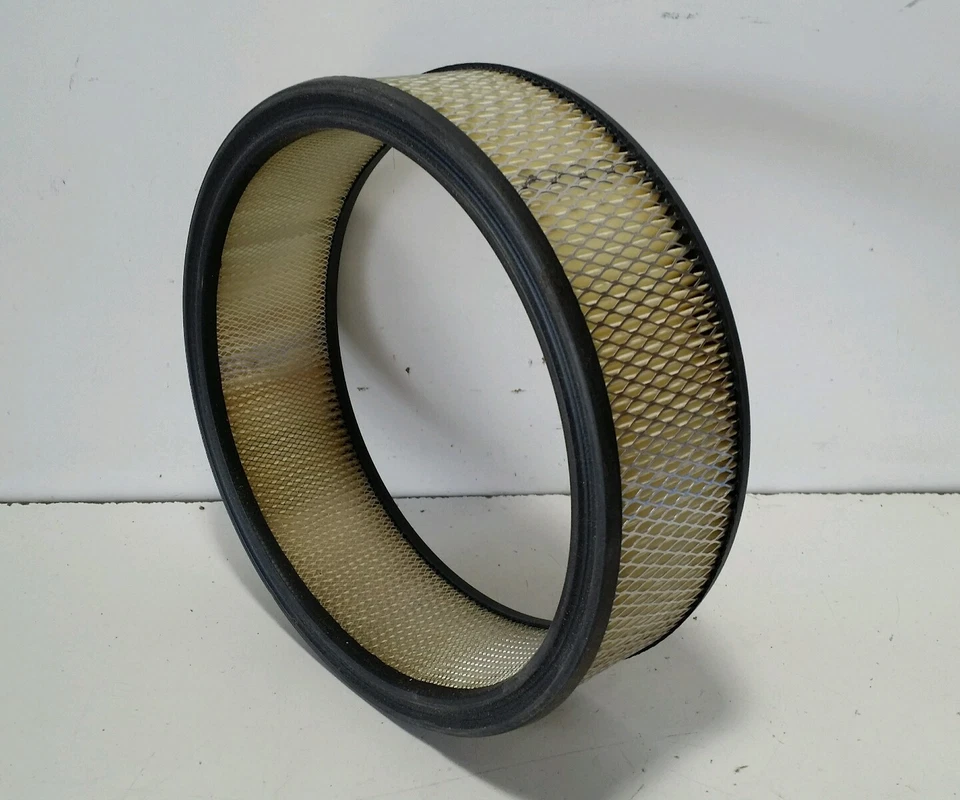 Filtro de aire clásico Purolator A43195 ¡ENVÍO GRATUITO! Foto 2 de 3