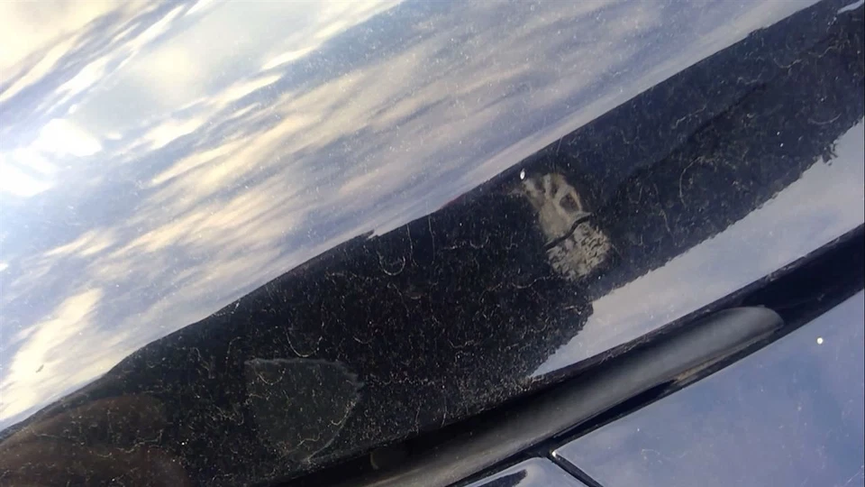 (LOCAL PICKUP ONLY) Windshield Glass Without Rain Sensor Fits 14-16 INFINITI QX6 - Image 4 of 4