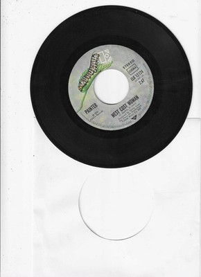 7'' Painter - West Coast Woman / Space Truck (Vinyl-Single 1973, Elektra) vg