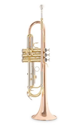 Roy Benson TR-202 G in B Trompete Goldmessingbecher lackiert