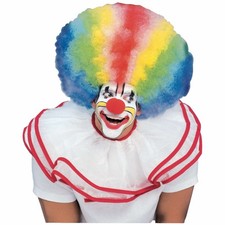 Clown Circus Funny Rainbow Afro Birthday Pride Adult Womens Mens Costume Wig