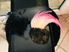 ANTIQUE BIRD FEATHER DECORATIONS FOR WOMEN'S HAIR 1930s