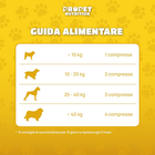 Foto 7 di 12