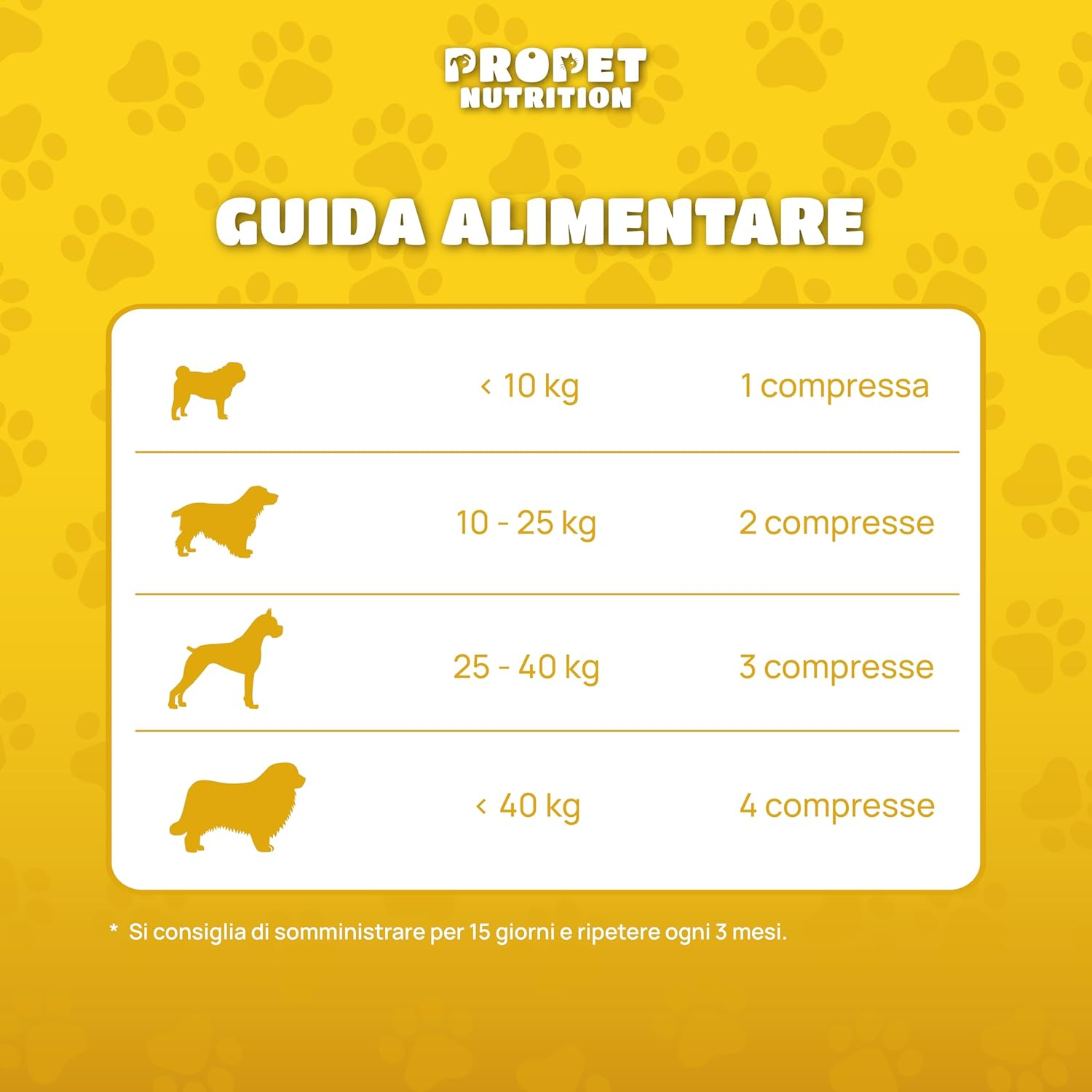 Foto 7 di 12
