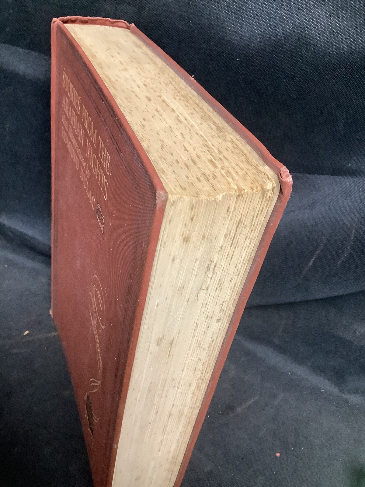 Picture 6 of 16