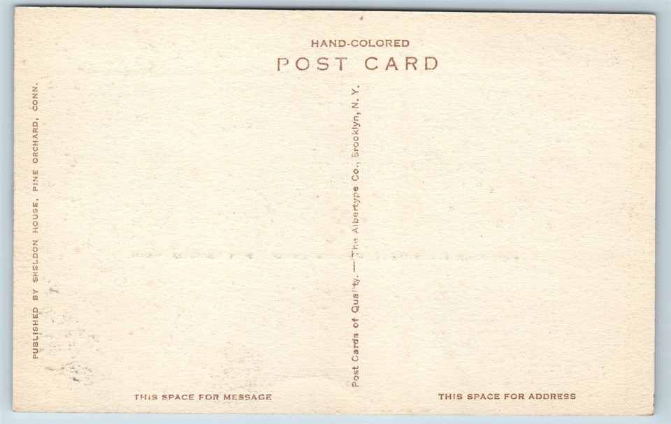 Postcard CT Pine Orchard View From Dining Room Sheldon House Hand