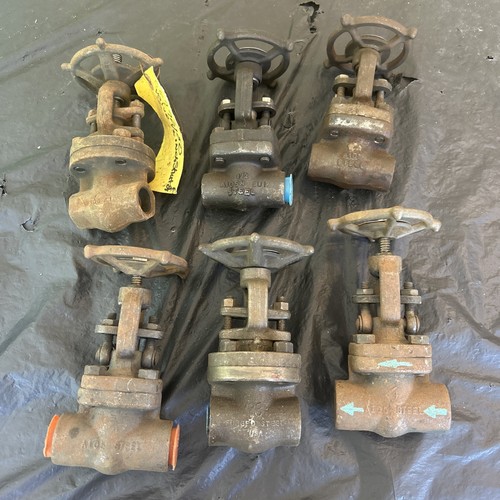 Mixed Lot of 6 Valve 800 lb Forged Steel Gate Valve Globe Valve Used