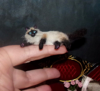 Realistic ragdoll cat MADE TO ORDER OOAK 1:12 Miniature Dollhouse handmade IGMA