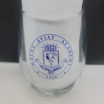 Vintage 1960 Mount Aviat Academy NEC Plus Minus Cocktail Glass