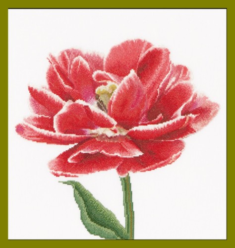 Cross-stitch kit Tulip Red And White 520 thea gouverneur - Picture 7 of 7