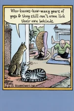 Cats & Yoga Funny Birthday Card - Greeting Card by Nobleworks