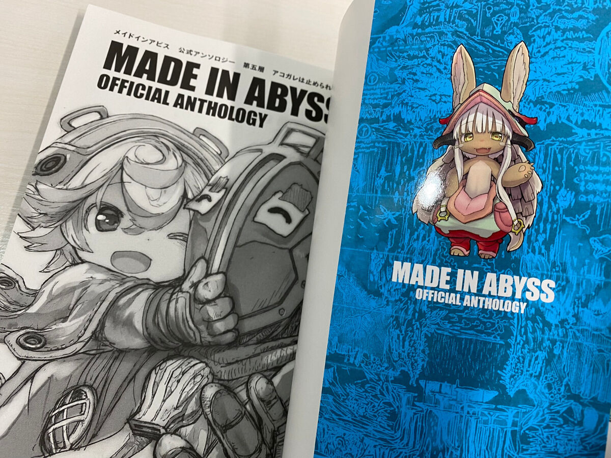 Made in Abyss Vol. 2 by Akihito Tsukushi: 9781626927742 |  : Books