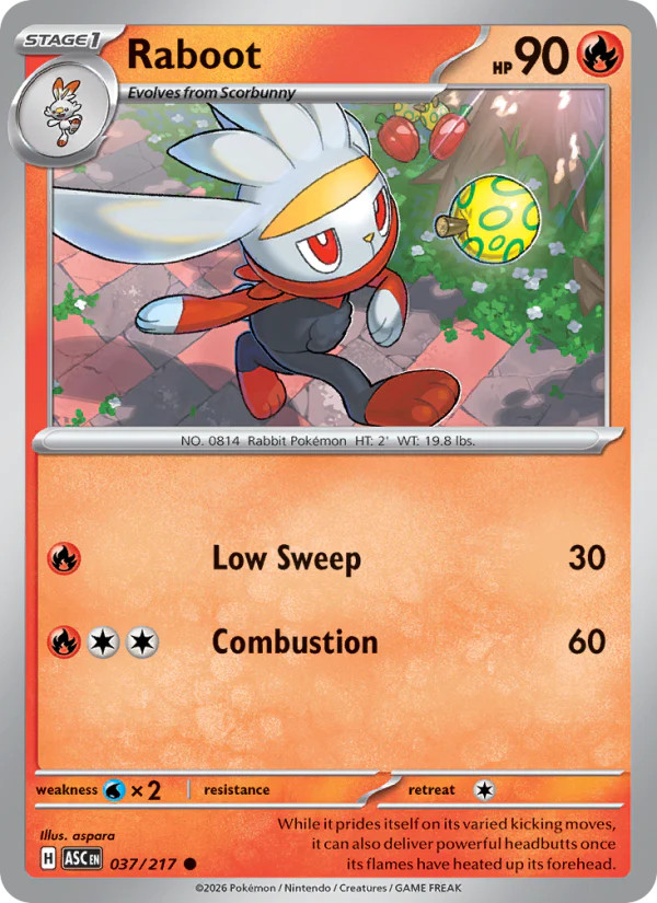 Raboot 37/217 Common | Ascended Heroes | Pokemon Card