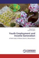 Youth Employment And Income Generation Manja Elstner