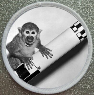 3'' Miss Baker Eichhörnchen Affe im Weltraum Aufbügeln oder Aufnähen Patch Abzeichen