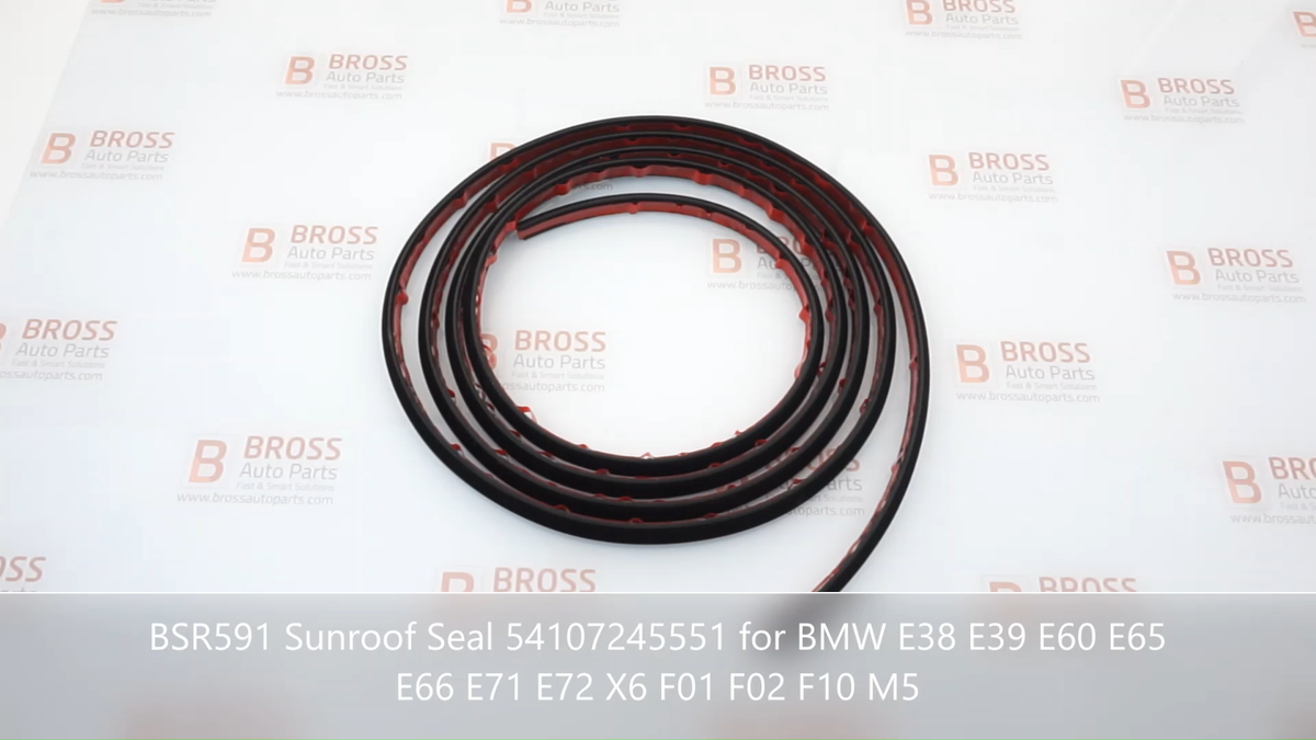 Schiebedachdichtung Für BMW 5er E39 E60 F10 - Originalersatz 54107245551