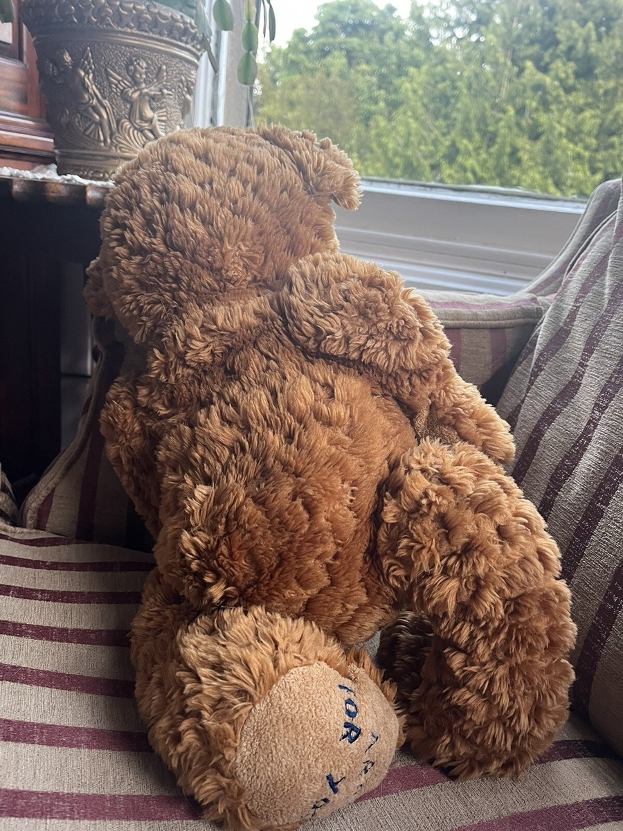 Russ Darcy Bear Cares For You 2nd Edition Rare Tag | eBay UK
