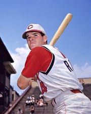 Cincinnati Reds PETE ROSE Glossy 8x10 Photo Portrait Baseball Print Poster