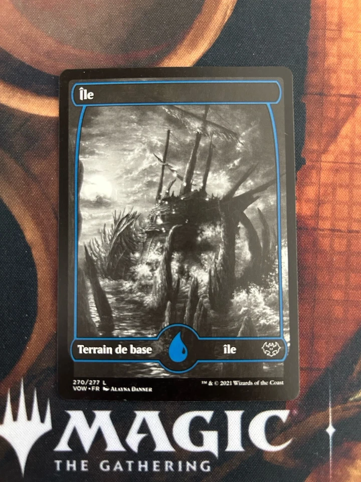 Set 10 Terrains de base (Full Art) - MTG Innistrad : Noce Écarlate - FR NM - Photo 4/4