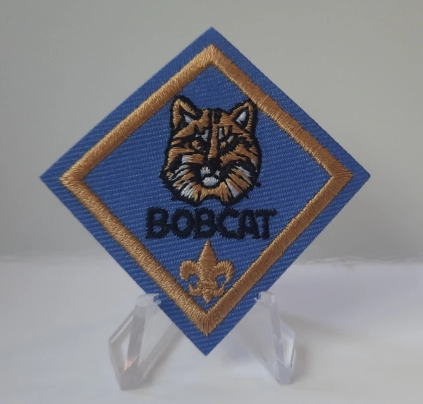 Boy Scout Collectibles for sale | eBay