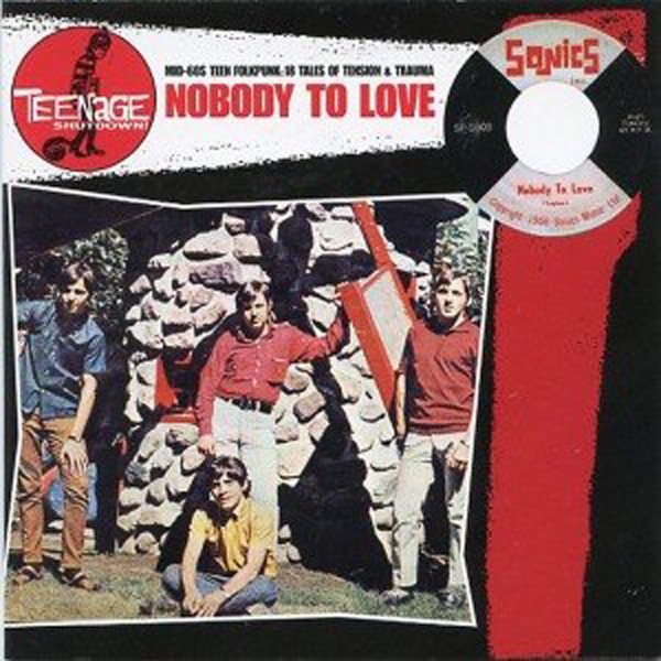 Various Artists - Teenage Shutdown - Nobody To Love - Vinyl Record - G3Z-image